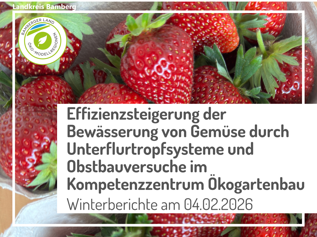 Erdbeeren in einer Schale
