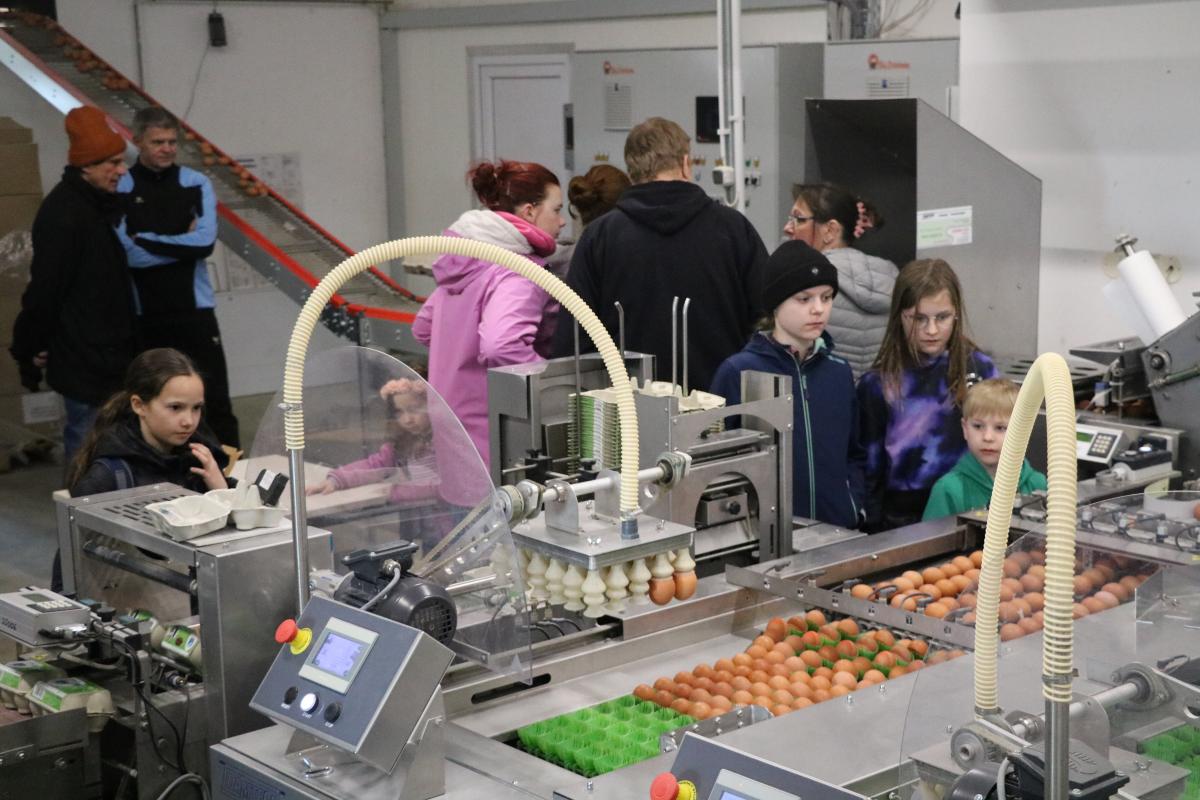 BesucherInnen in einer Eierpackstelle