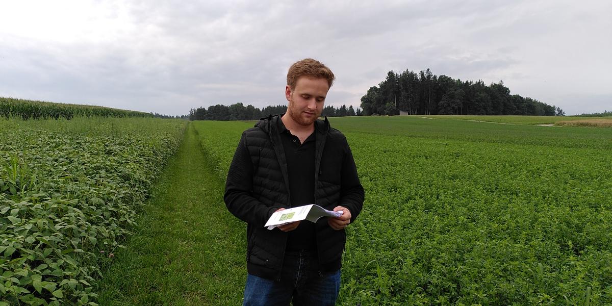 Sebastian Mayer aus Gessenhausen erläuterte den interessierten Landwirten seinen umfangreich angelegten Versuch mit verschiedenen heimischen Eiweißpflanzen.