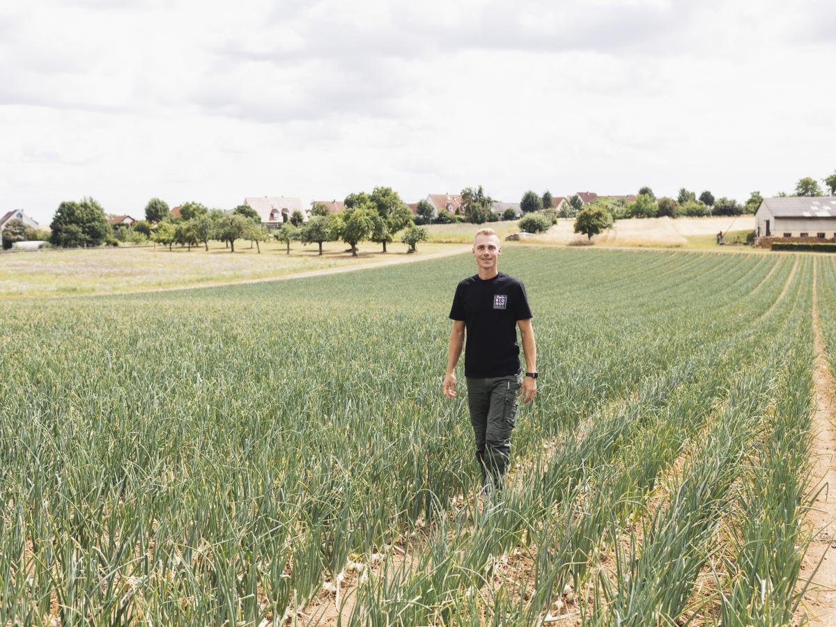 stadt.land.wü., Landkreis Würzburg, Stadt Würzburg