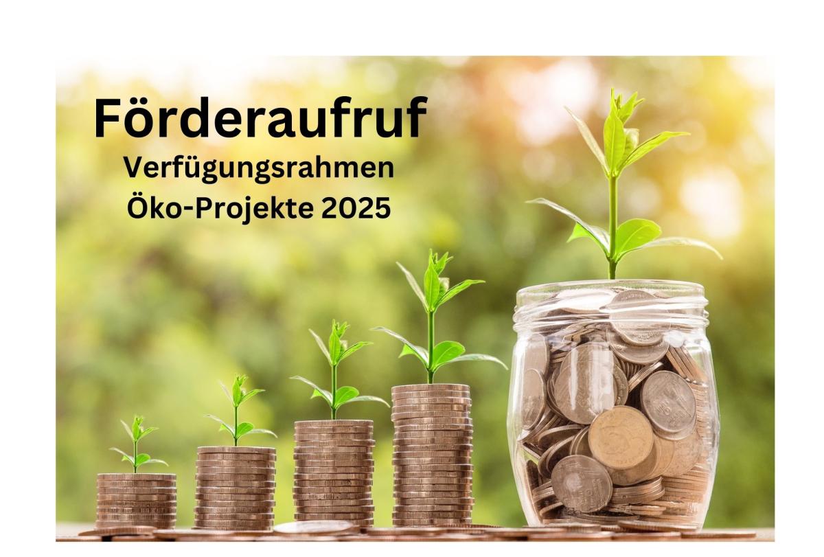 Förderaufruf Öko-Projekte 2025