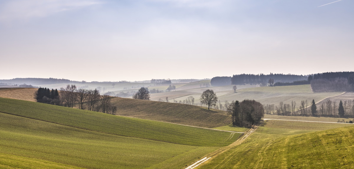 Landwirtschaft_Cstrigl