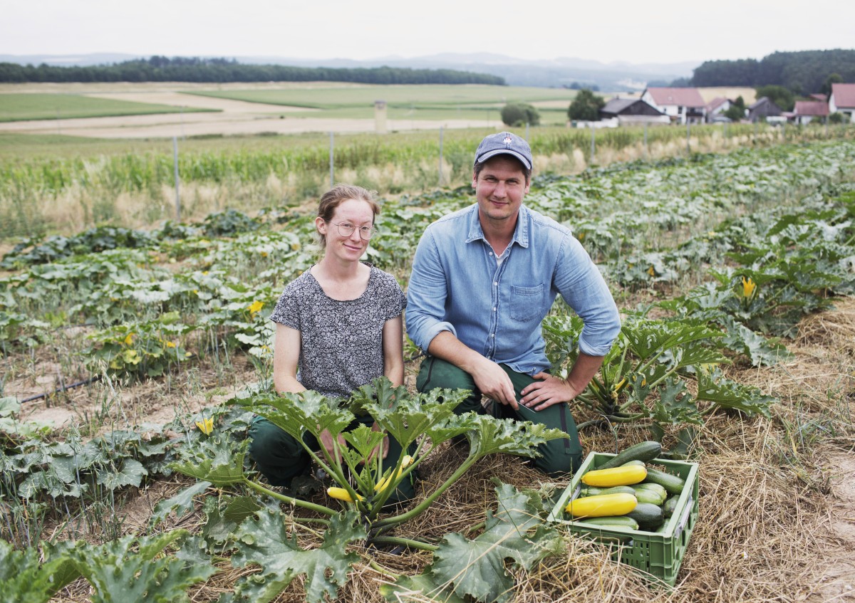 Michael und Sophie auf ihrem Feld bei der Zuchini-Ernte