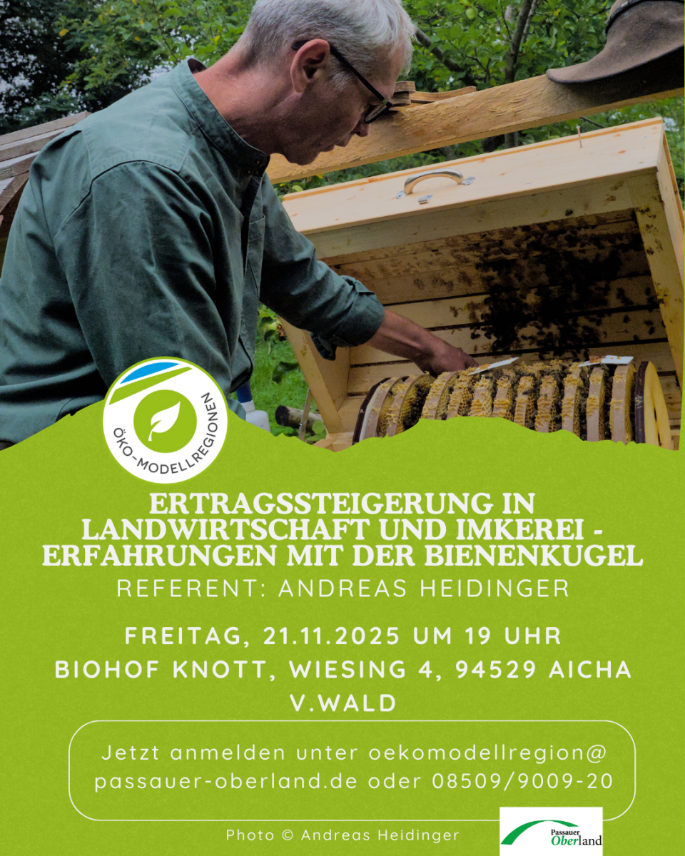 Vortrag Bienenkugel