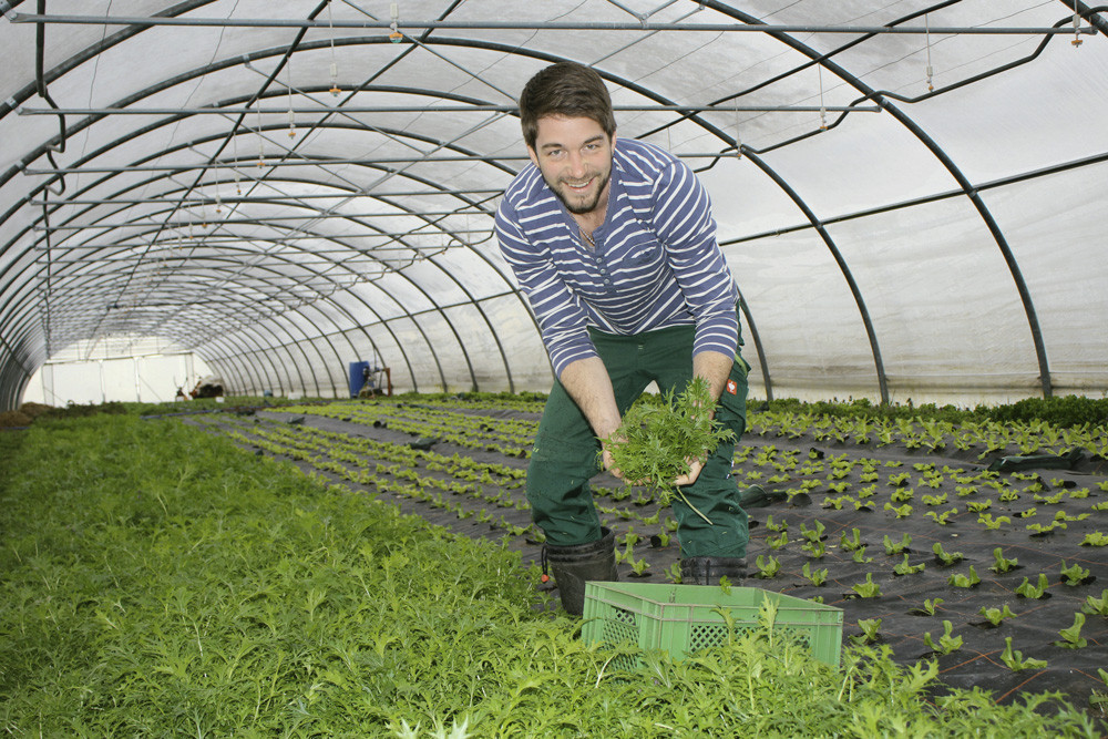 Michi Steinmaßl, Biogärtner aus Kirchanschöring, im Gewächshaus