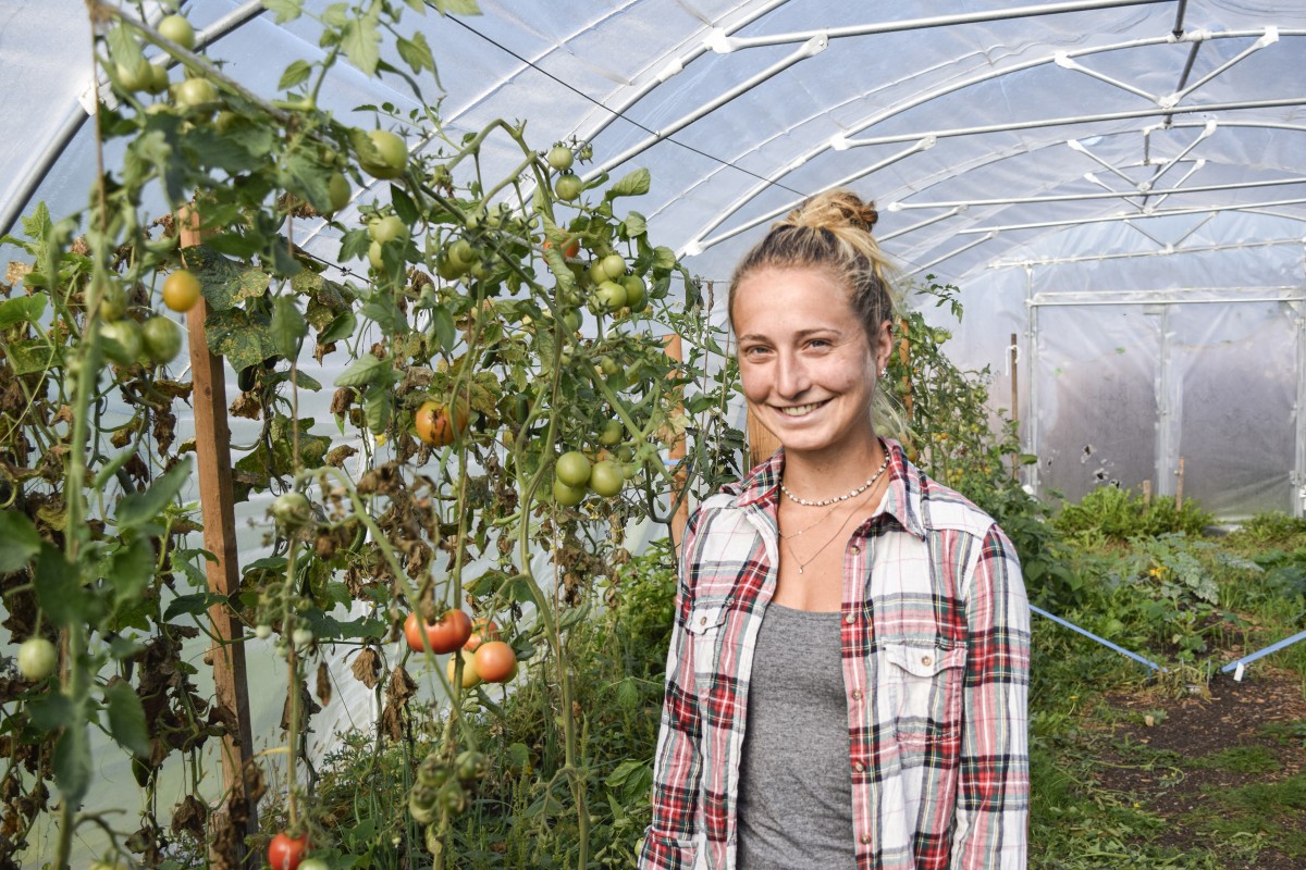 Lena Fischl im Folientunnel