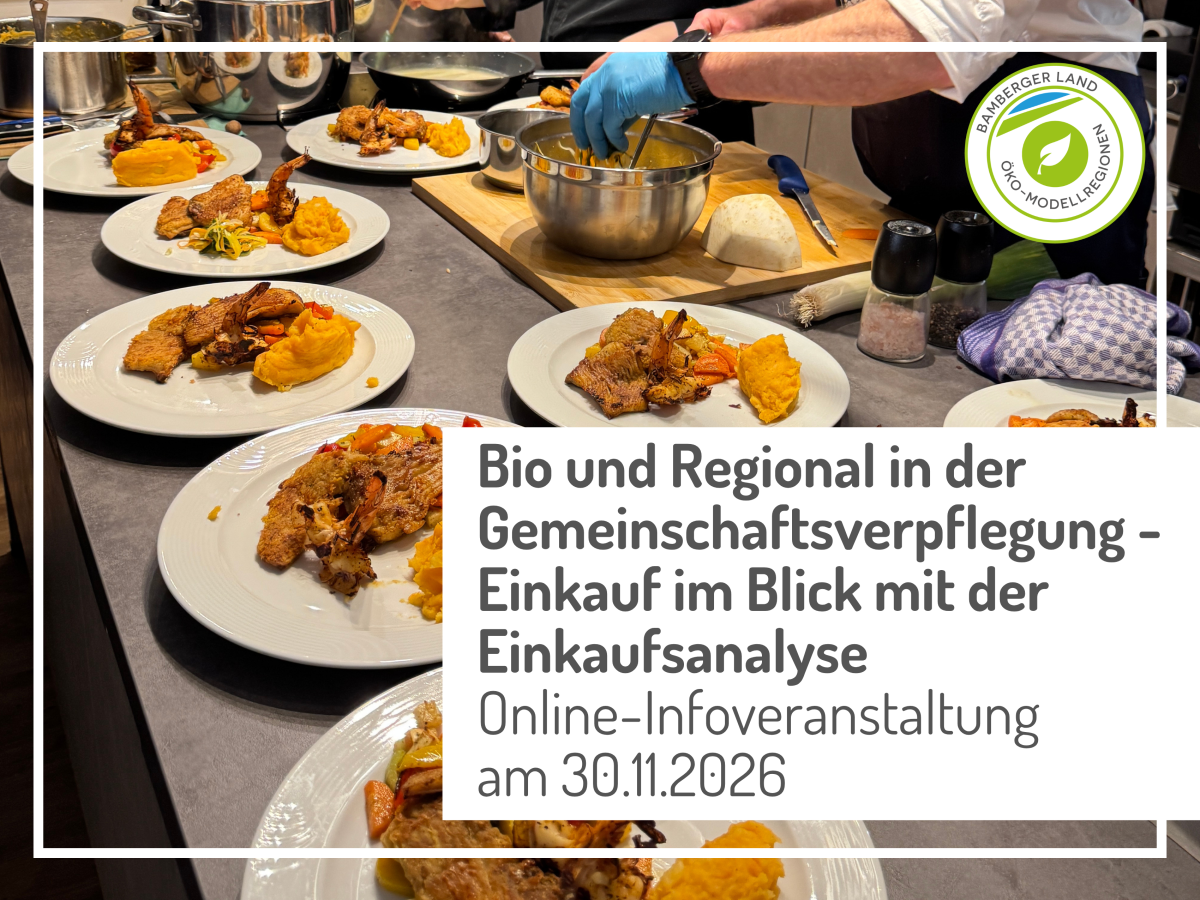 fertig angerichtete Teller auf der Küchenarbeitsplatte