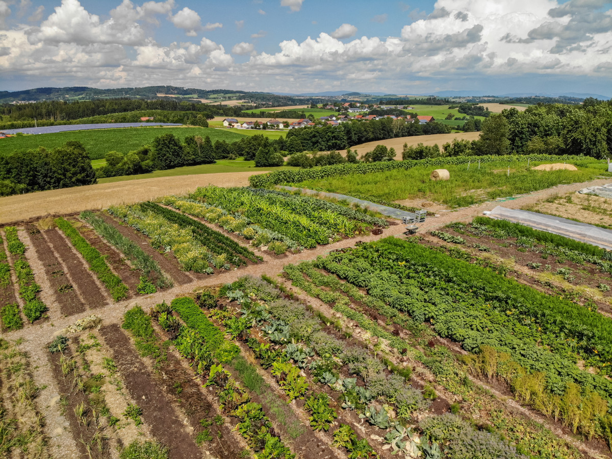 Fläche der Solidarischen Landwirtschaft in Kirchberg vorm Wald