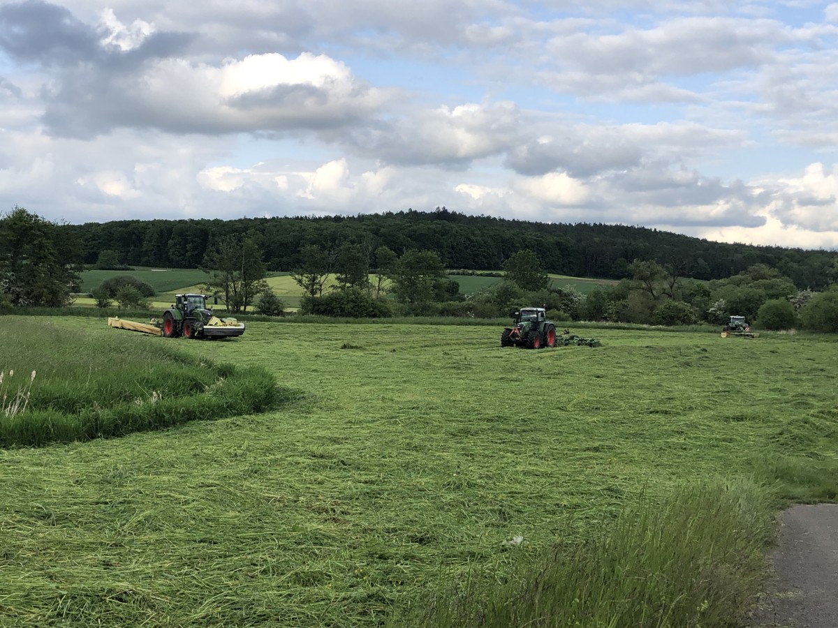 Künstliche Intelligenz spielt in der Landwirtschaft eine zunehmende Rolle.