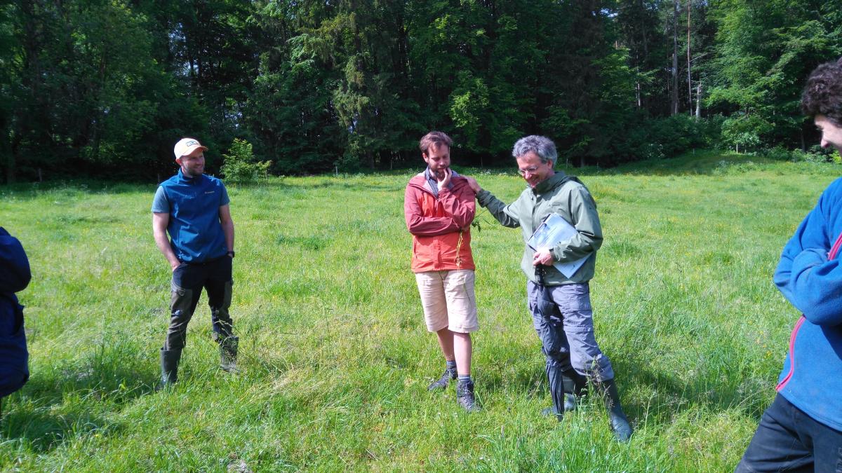 drei Männer auf der grünen Wiese, Hintergrund Wald