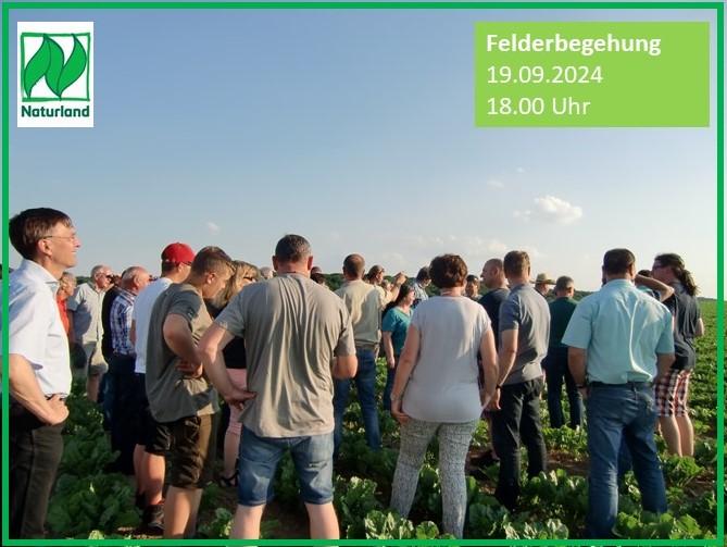 Felderbegehung