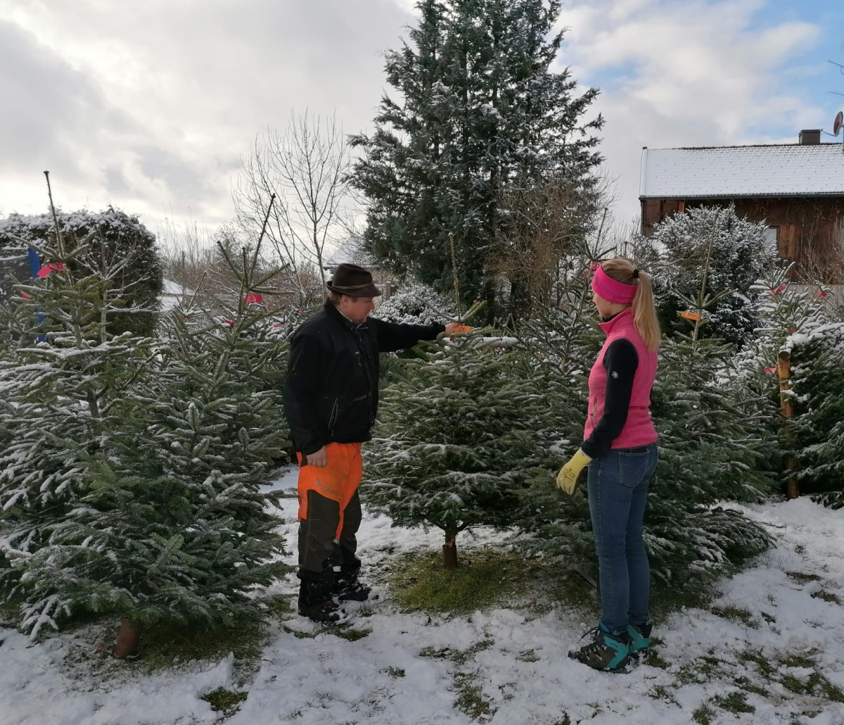 Christbaumverkauf in Holzkirchen