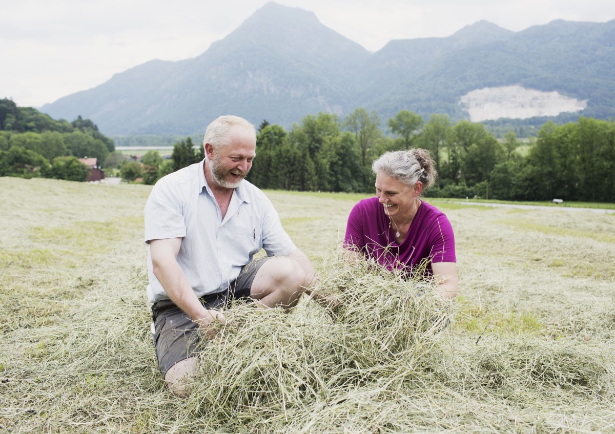 Statt Silage bekommen die Kühe herrlich duftendes Heu