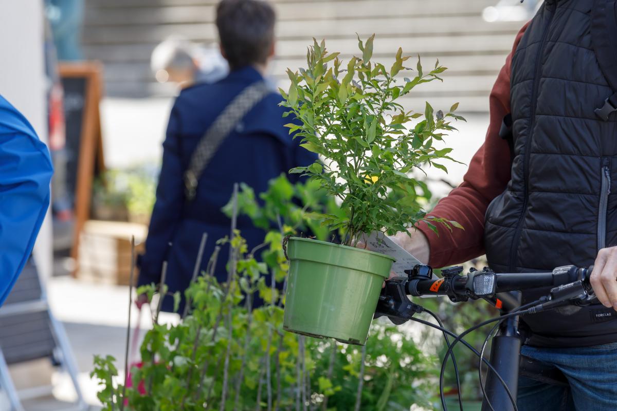 Bio-Jungpflanzenmarkt
