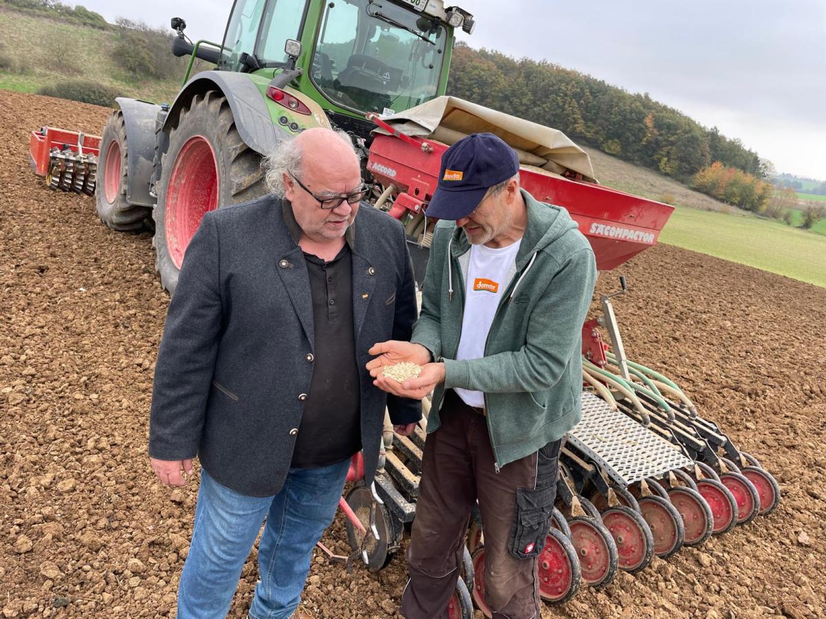 Zwei Männer auf dem Acker, sich Getreide anschauend, im Hintergrund ein Traktor