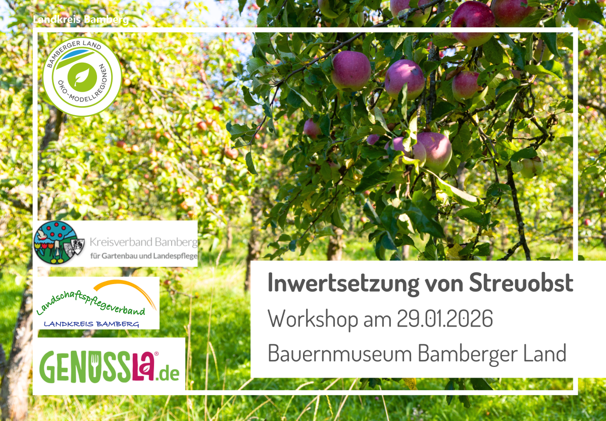 reife Äpfel hängen an einem Baum