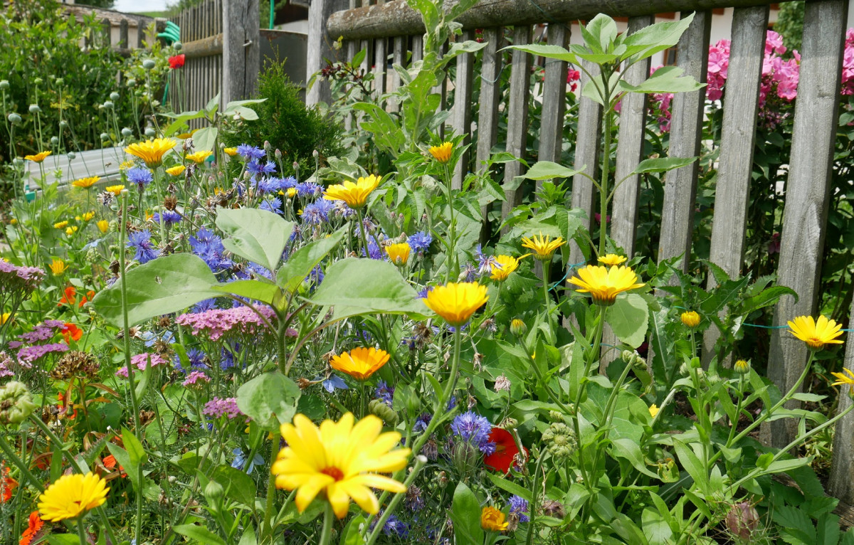 Kräutergarten im Oberland