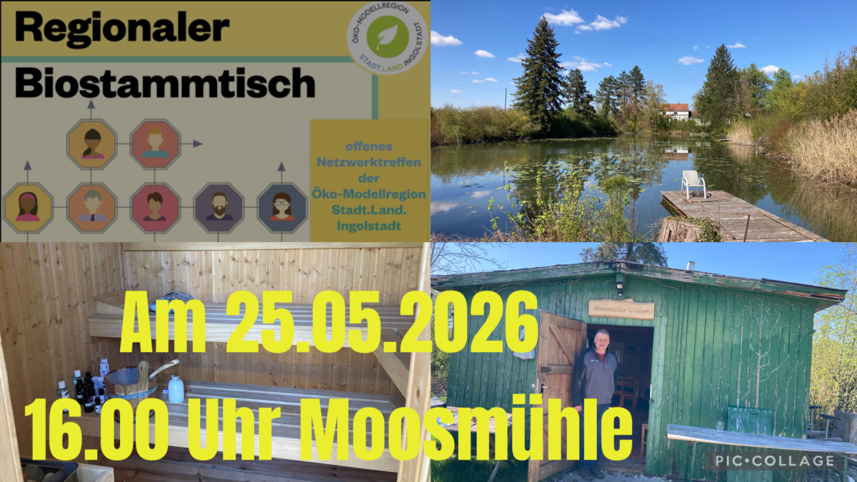 Collage mit Fotos der Moosmühle