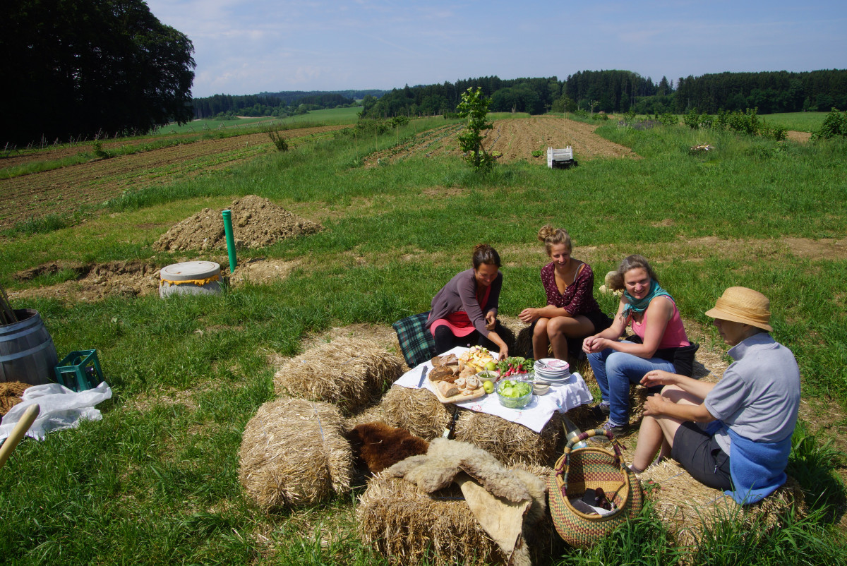 Solawi Brotzeit