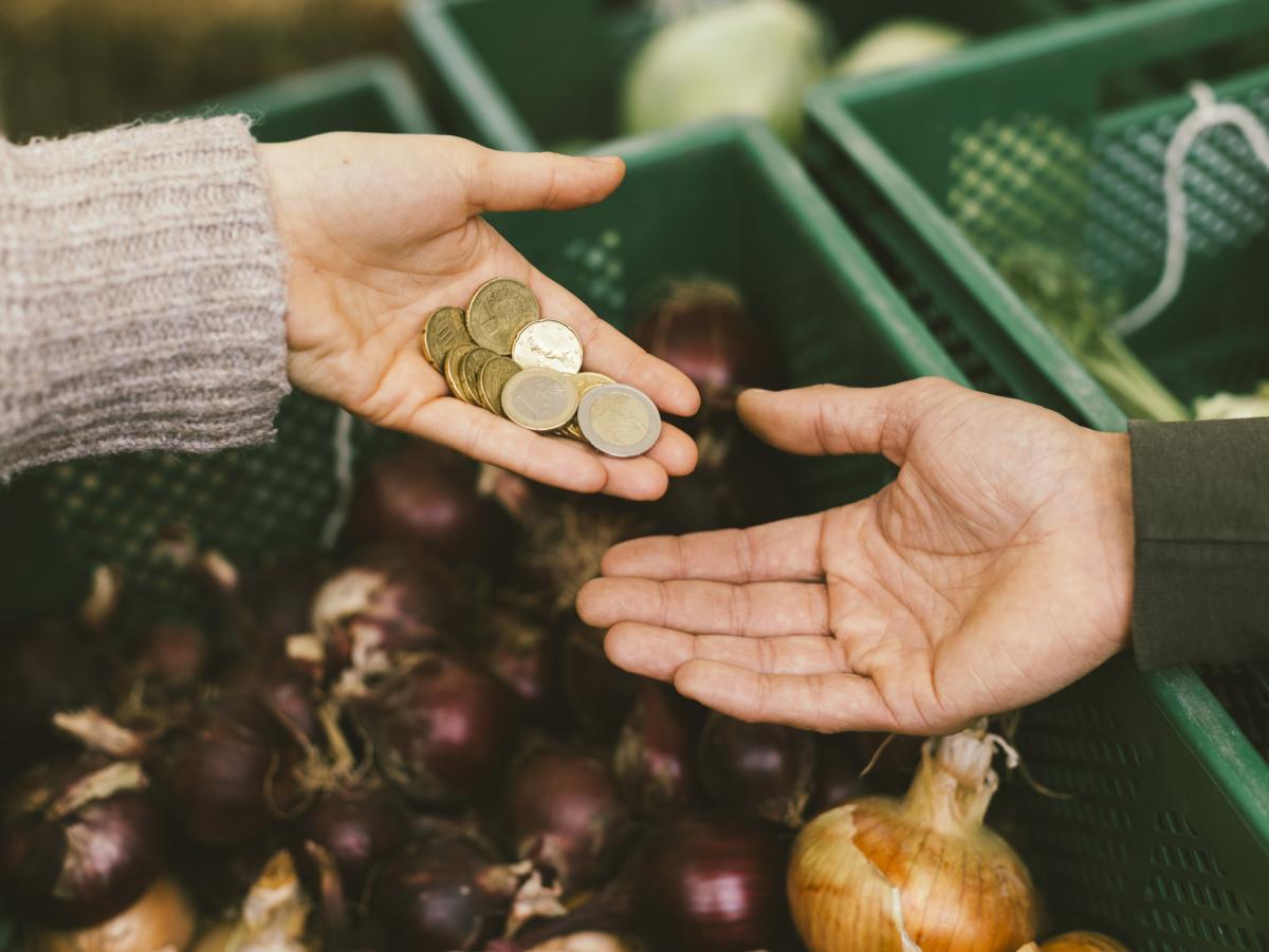 Geldmünzen in der Hand - Förderung