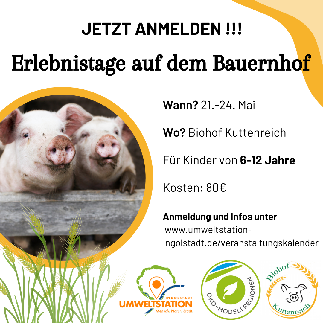 Flyer Erlebnistage Biohof Kuttenreich