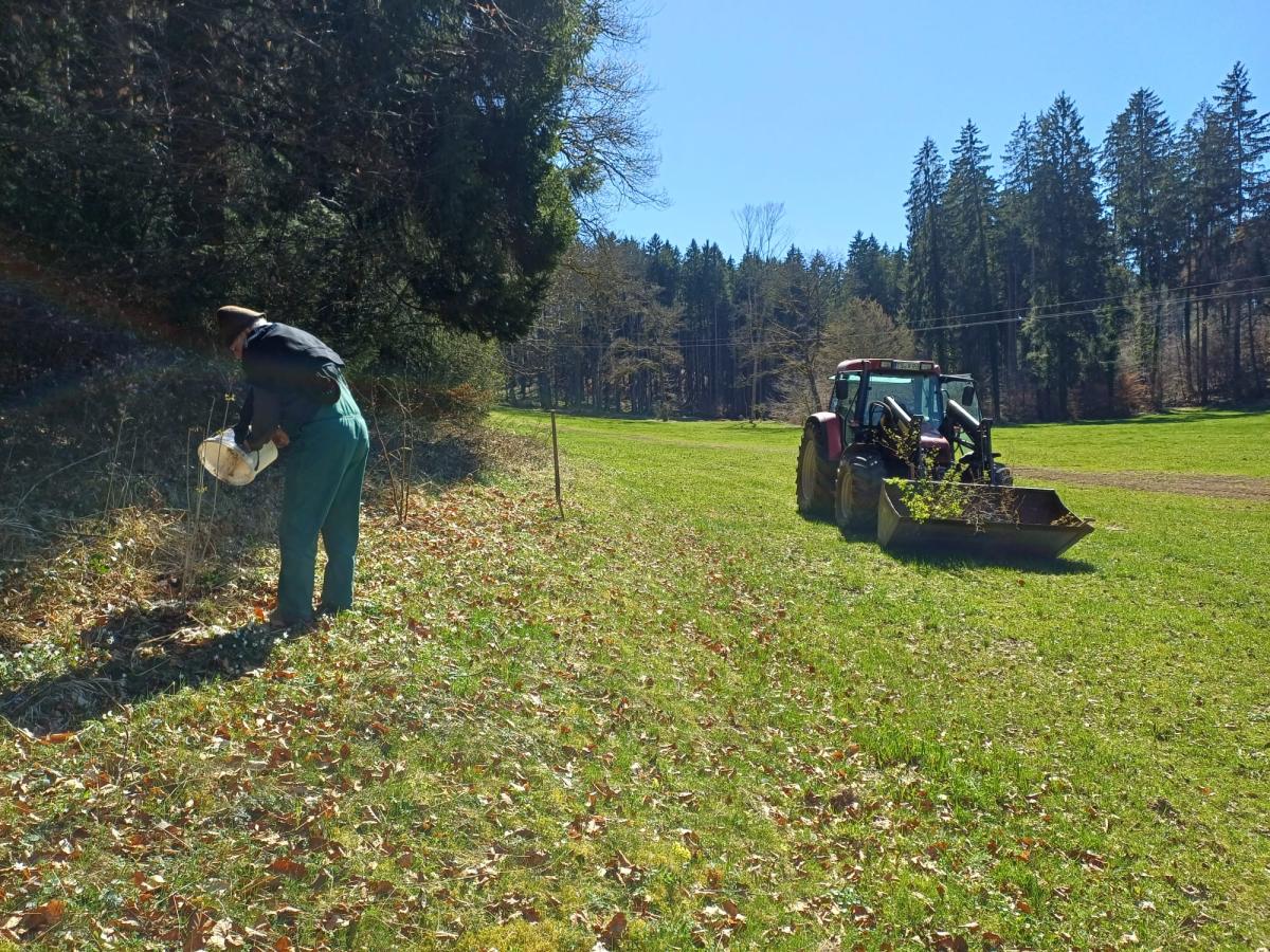 Im Einsatz für die Haselmaus