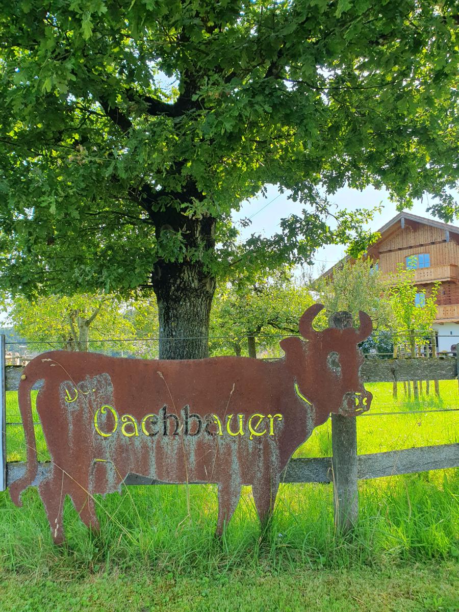 10.00 Uhr Vorstellung des Aichbauernhofs in Petting, Aichbauer 1