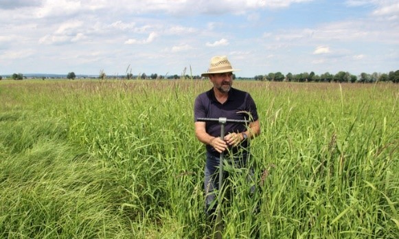 Landwirtschaftliche Nutzung von Mooren, Matthias Drösler