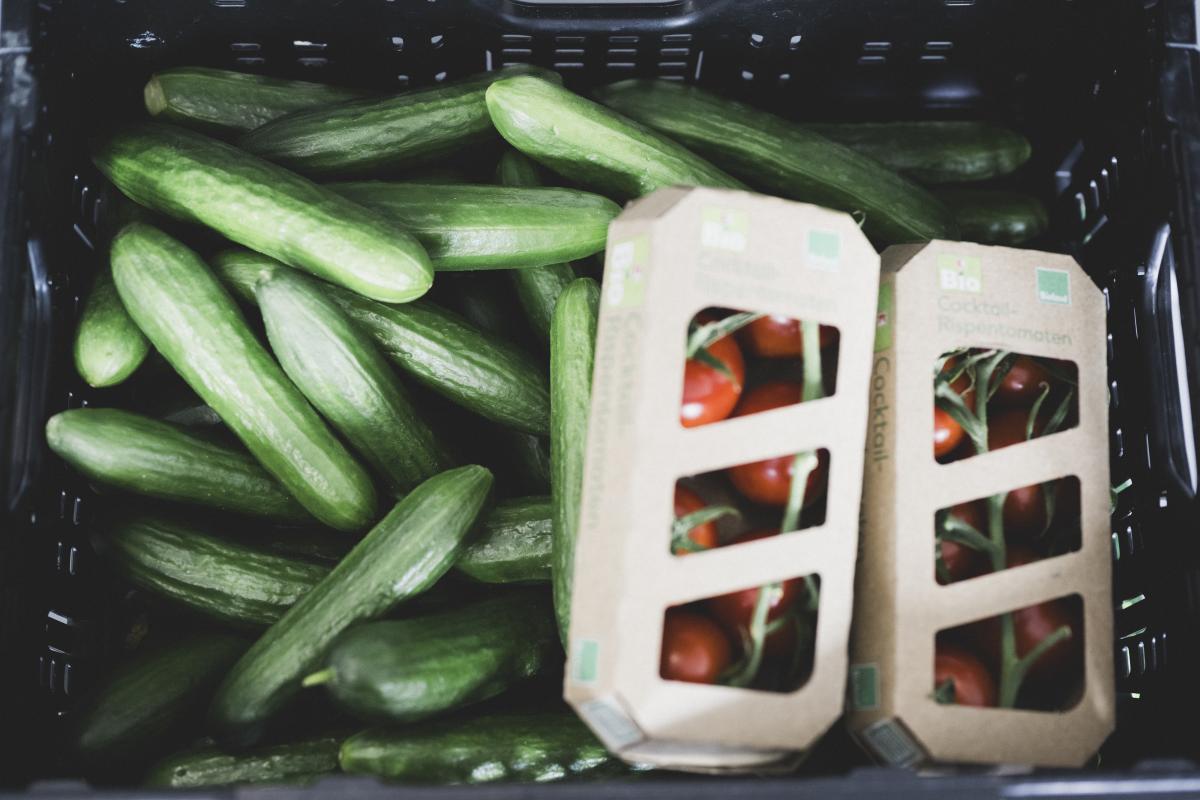 Gurken und Tomaten in einer Gemüeskiste