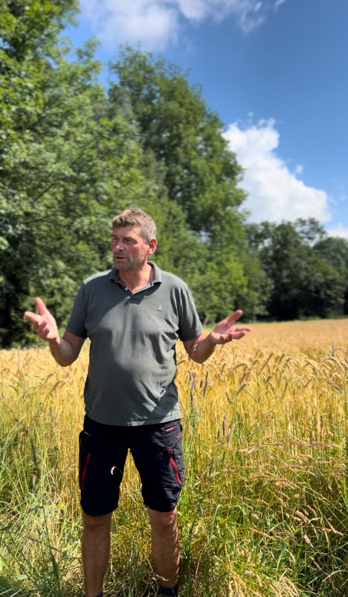 Landwirt steht vor Triticalefeld