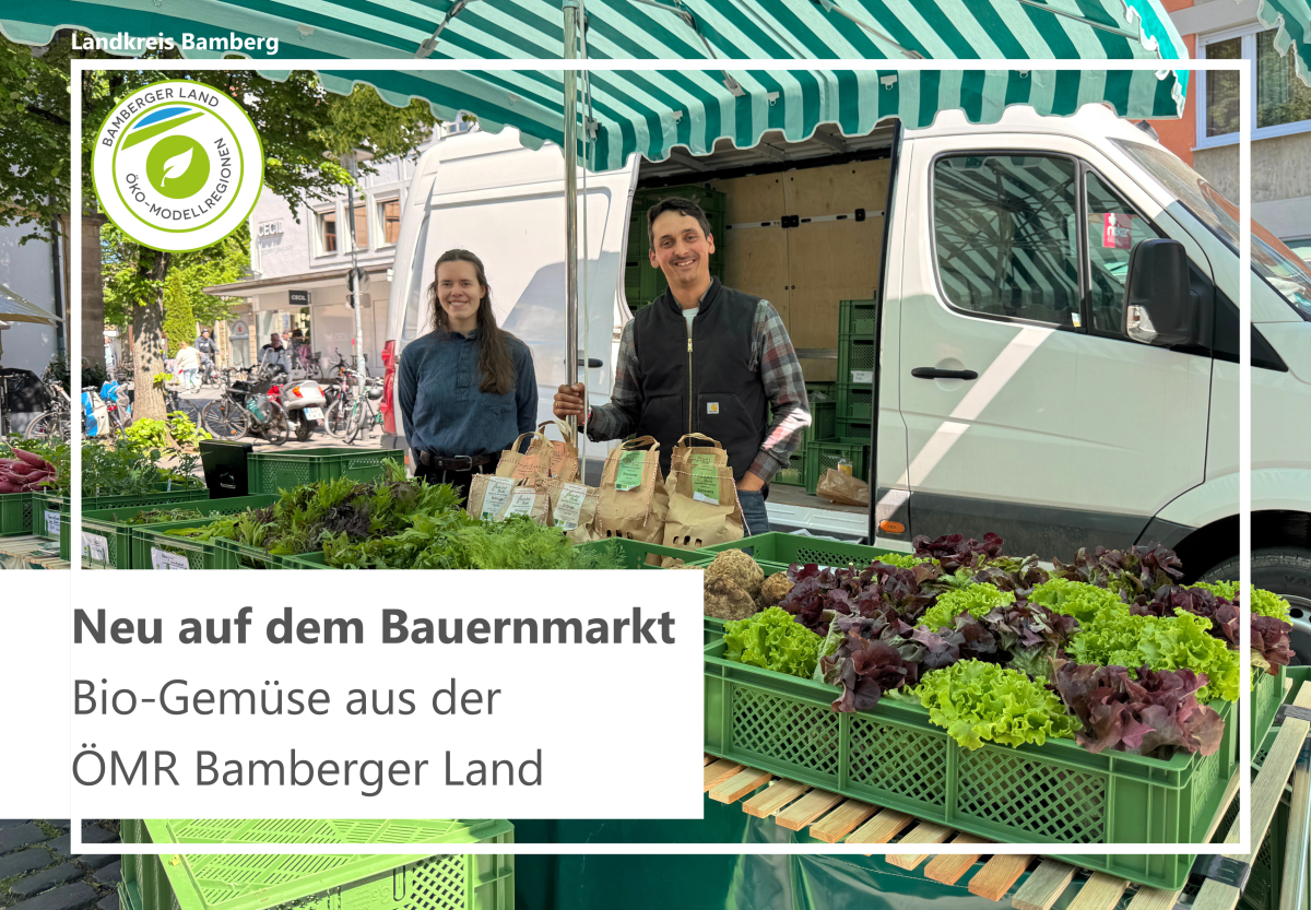 Markstand mit frischem Gemüse