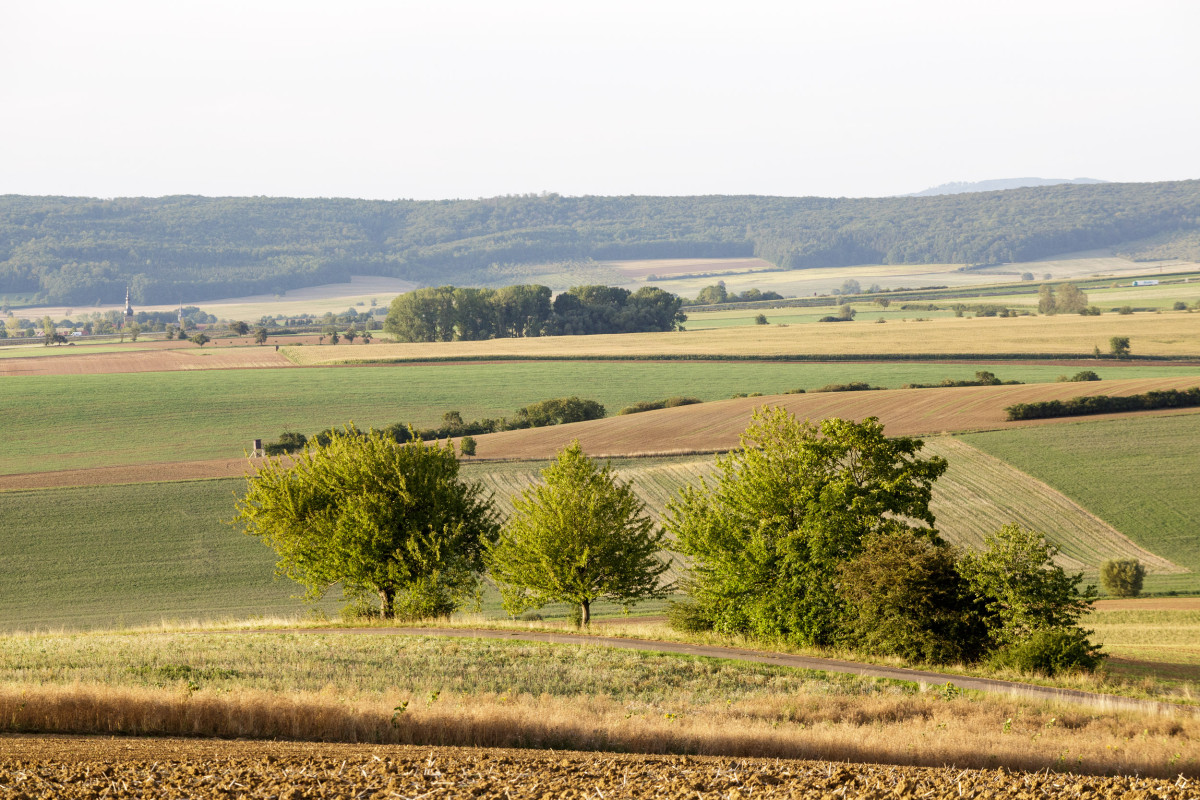 Öko-Modellregionen