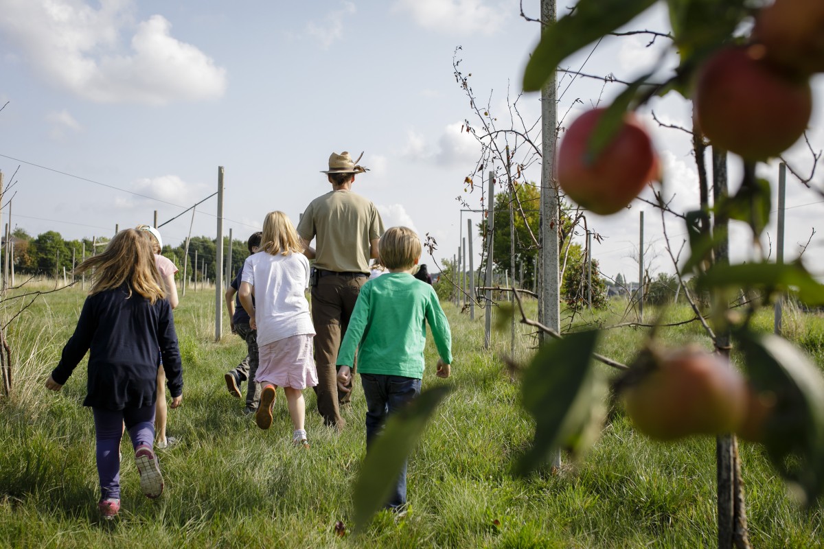 Kinder von hinten,  in der Natur unterwegs