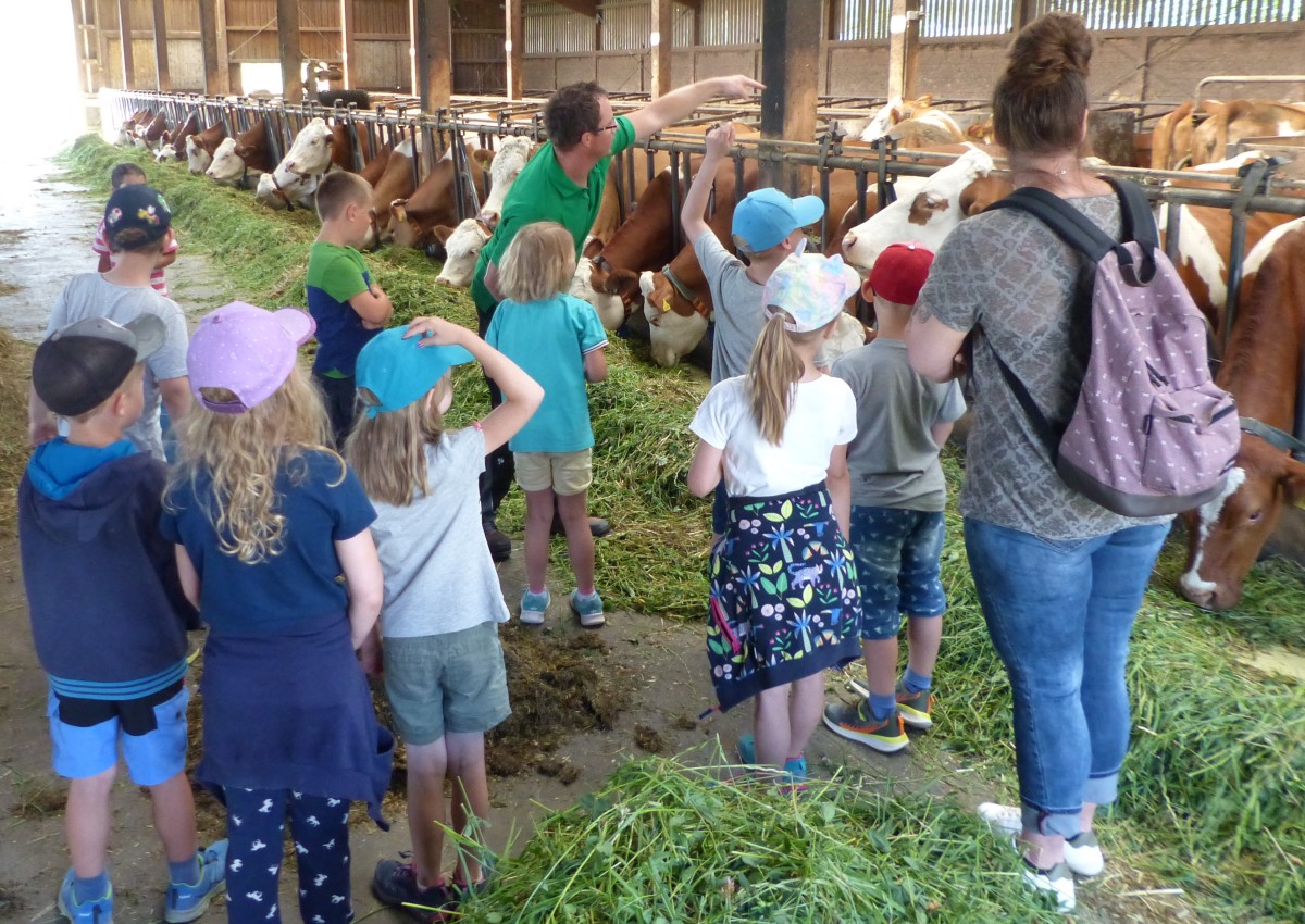 Christian Hendel erklärt den Kindern was Kühe fressen