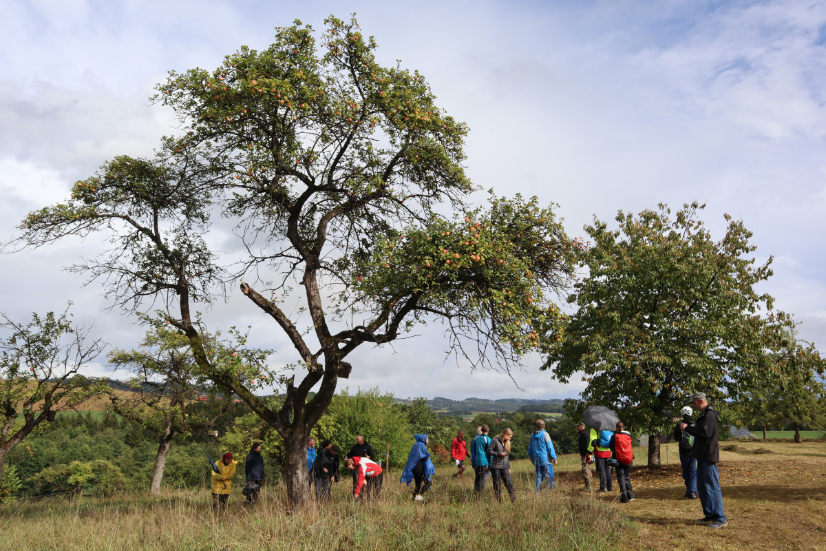 Die Teilnehmer:innen der Radltour "Iss, was um die Ecke wächst" besichtigen die Streuobstwiesen am Bio-Betrieb der Familie Eder in Naßkamping.