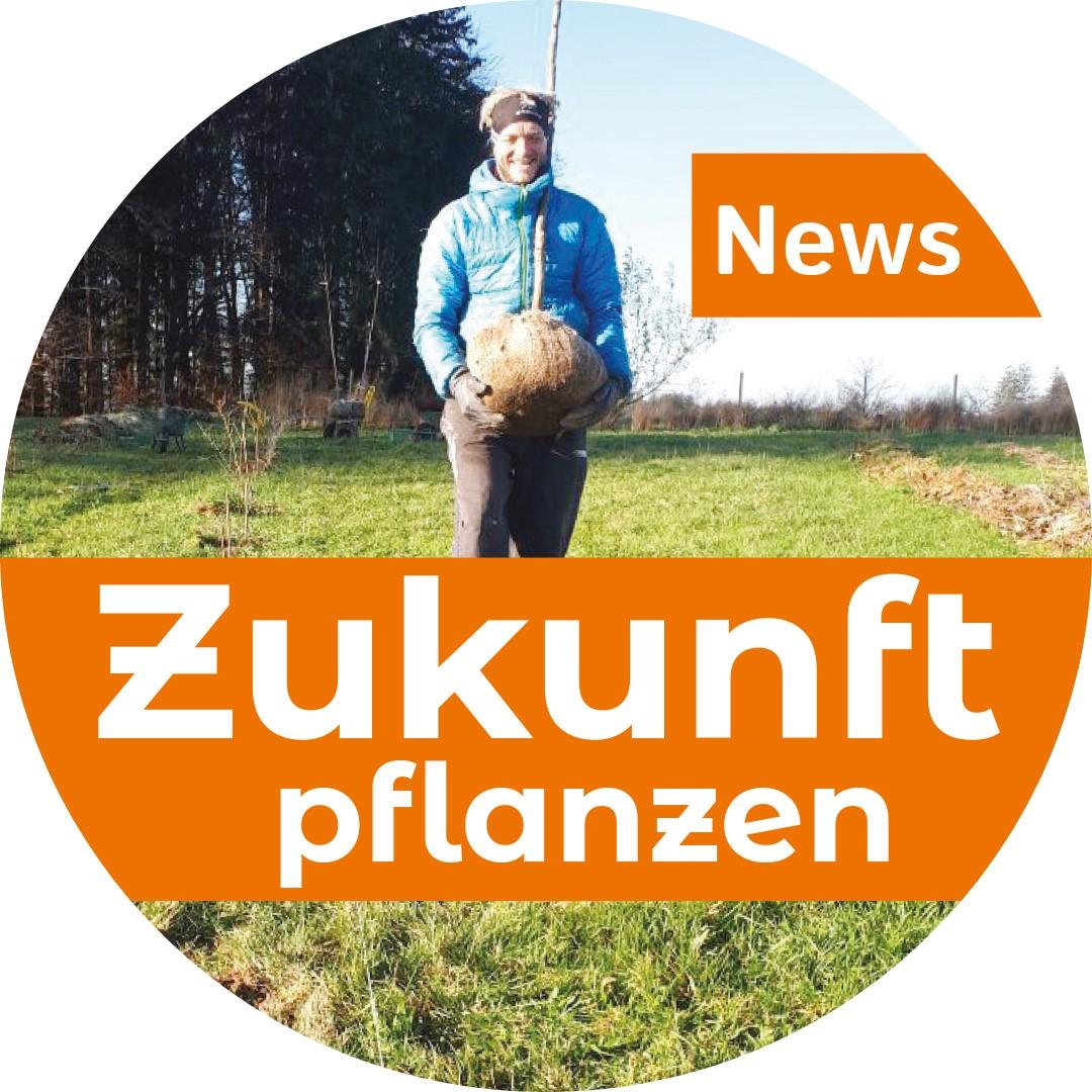 Agroforst Aktionstag am 15. 12. 2024