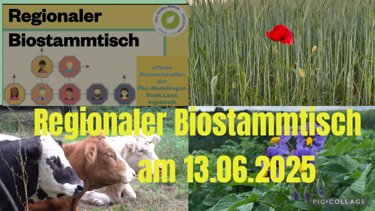 Informieren und Austauschen beim Regionalen Biostammtisch
