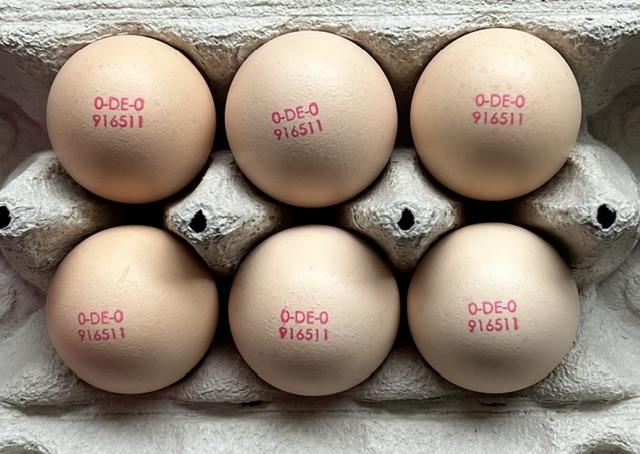 Nur Eier mit der Ziffer 0 sind aus Biohaltung!