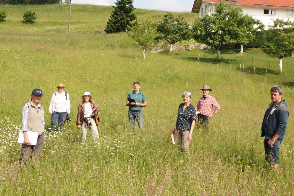 Die Jury der Wiesenmeisterschaft auf der Wiese von Roswitha und Johann Zott