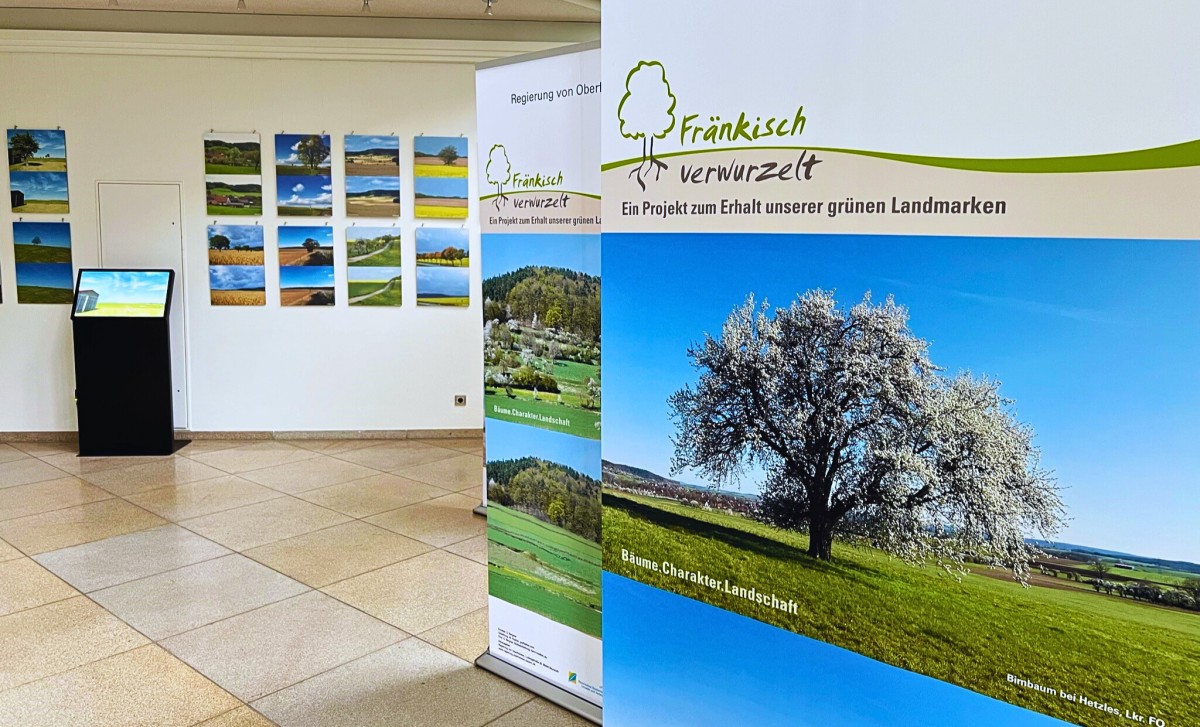 es gibt einen Einblick in die laufende Ausstellung mit diversen Fotoaufnahmen von Landschaftsbildern