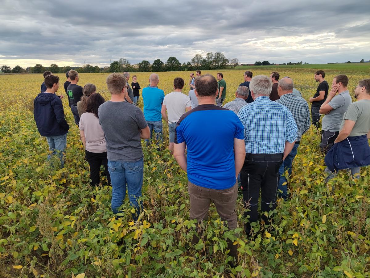 Landwirte auf Feld mit Sojabohnen