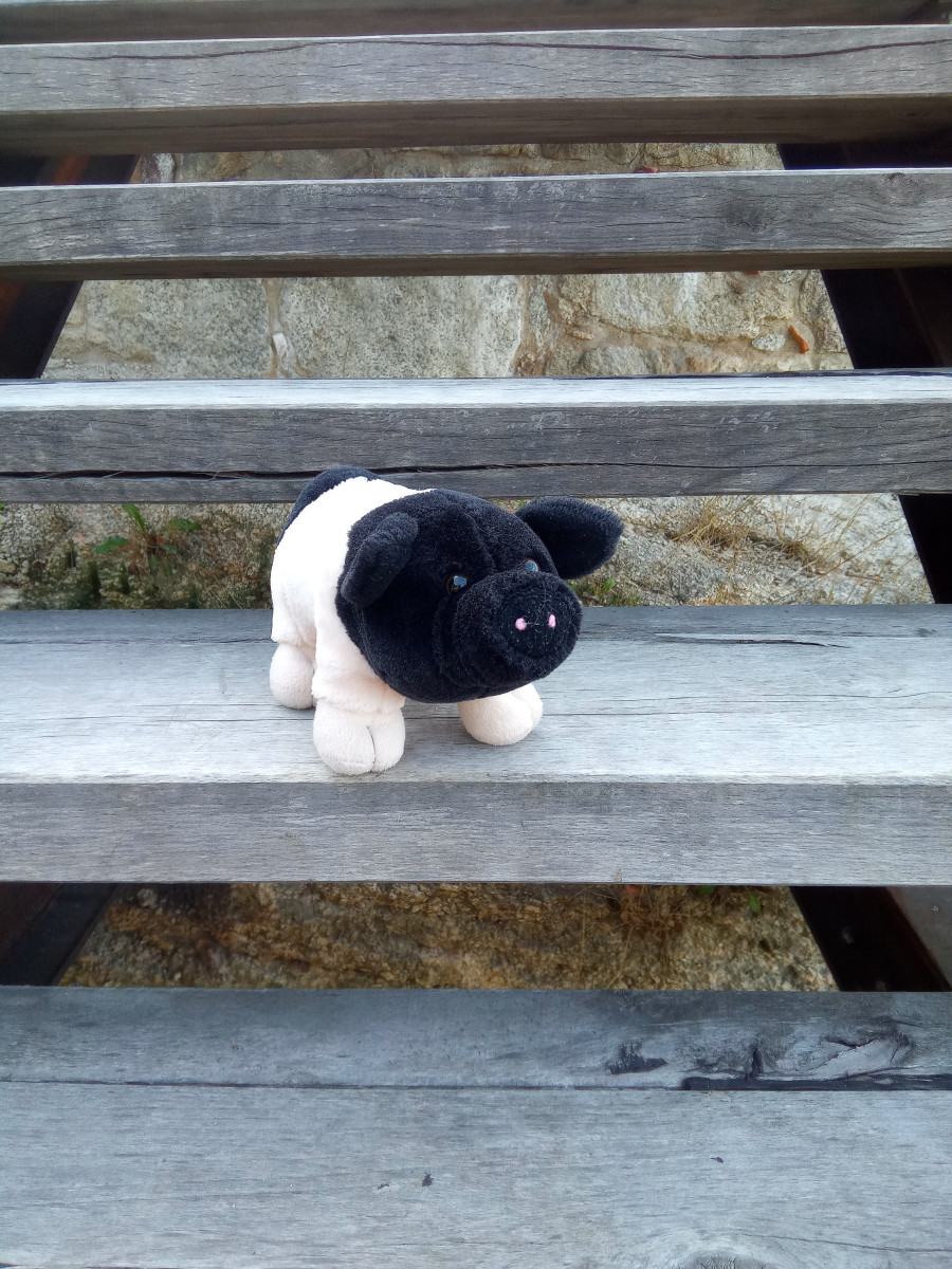 Kuscheltier steht auf Holztreppe