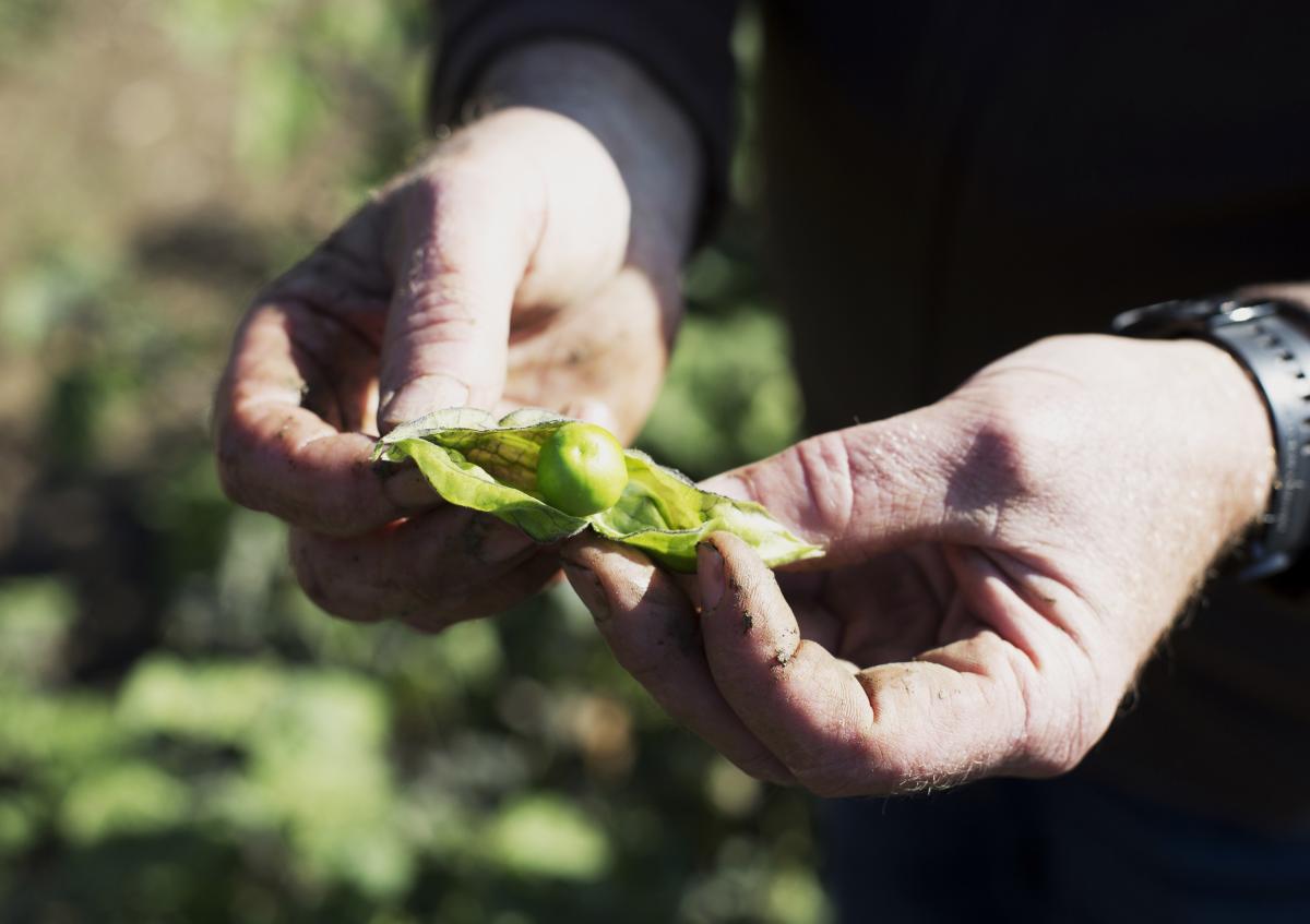 Etwas neues entsteht