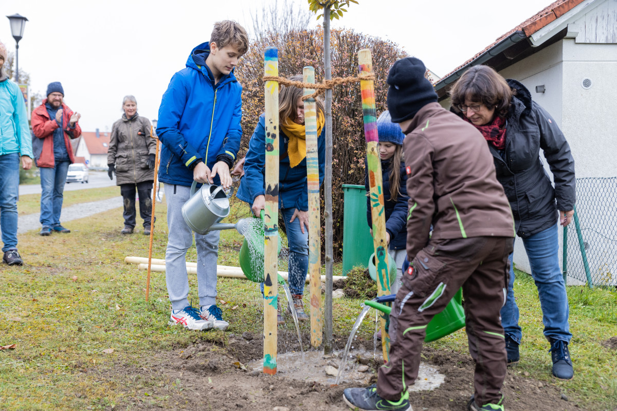 Menschen beim Baum pflanzen