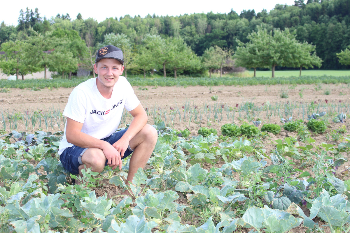 Markus Hager auf seinem Feld in Obergeisenfelden inmitten von Kohlrabi, Salat und Zwiebeln.