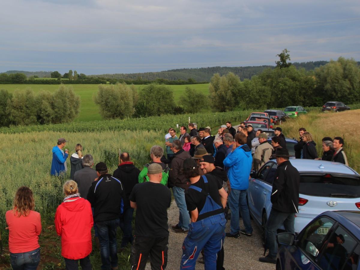 Landwirte beim Feldrundgang