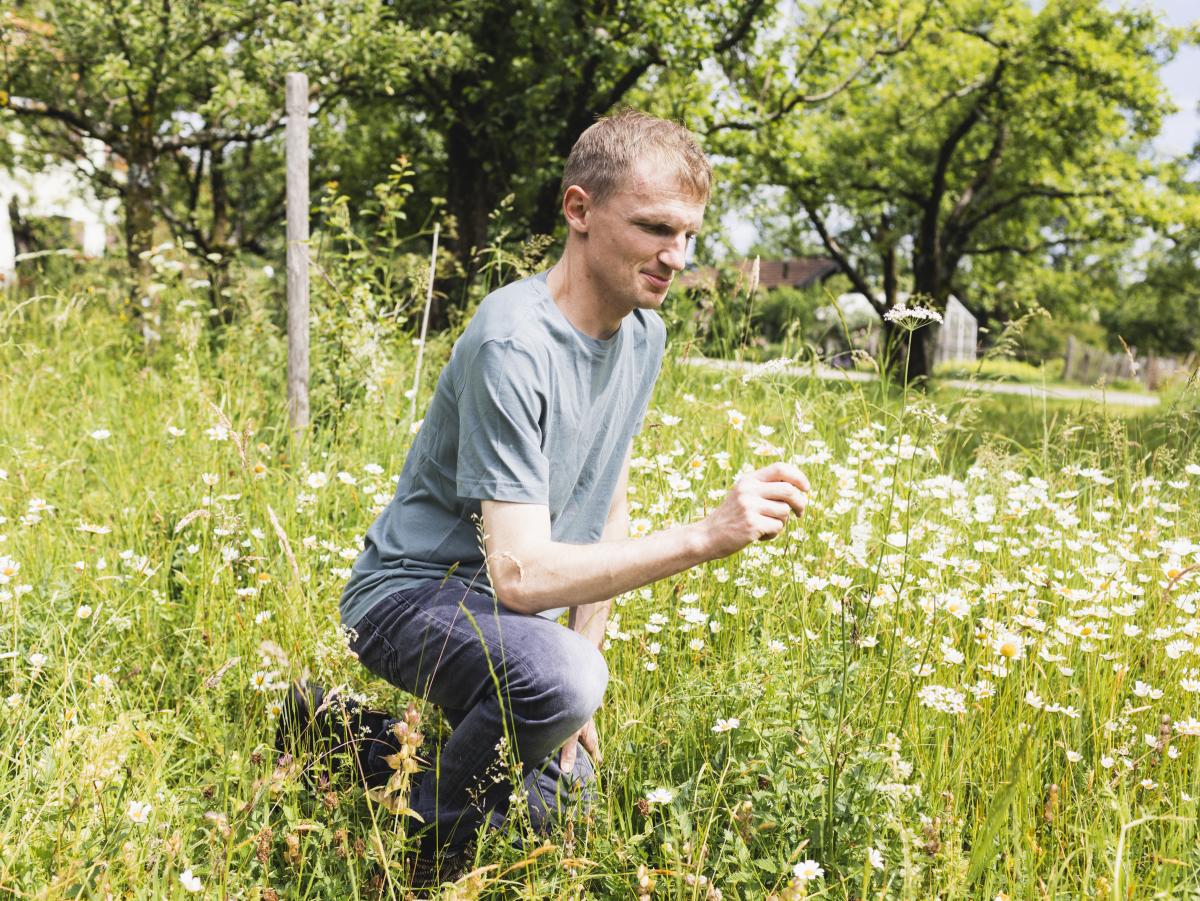 Hofnachfolger Rupert Koch zeigte , welche vielfältigen positiven Wechselwirkungen zwischen einer naturnahen Milchviehwirtschaft und den Pflanzen- und Tierbeständen auf Wiese und Weide bestehen