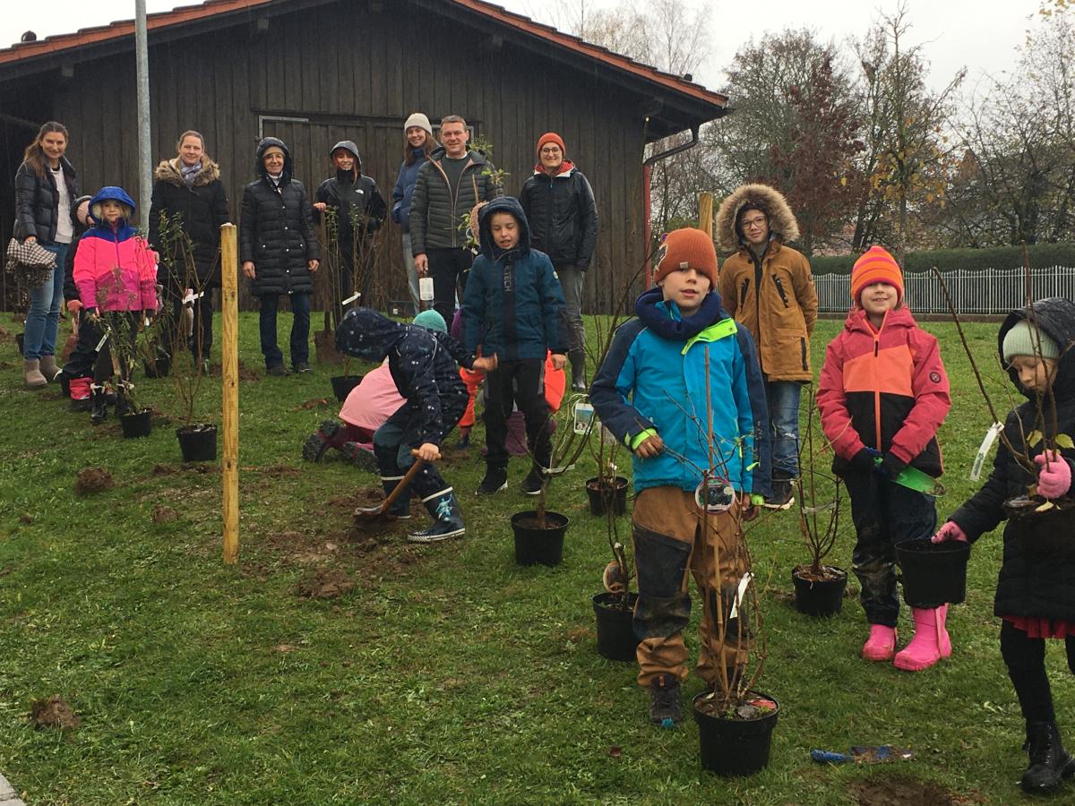 Die Kinder der zweiten Klasse pflanzten eine Wildobsthecke.