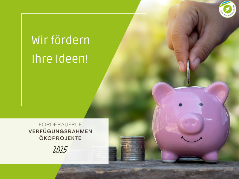 Förderaufruf 2025: Wir fördern Ihre Ökoprojekte!