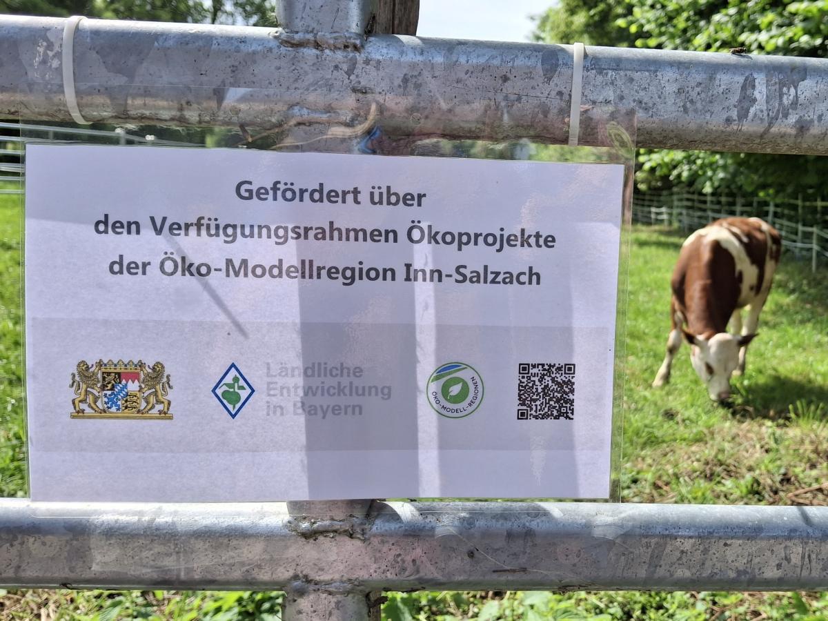 Schild an der Weide, Kalb steht dahinter